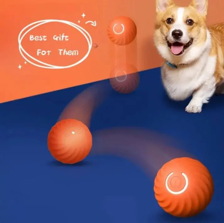 Pet Dog Rubber Ball Toys For Dogs Top100